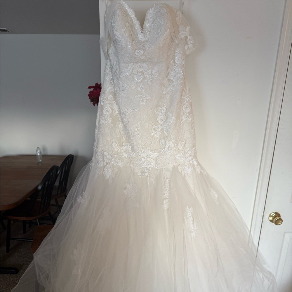 Pronovias Barcelona Wedding Dress